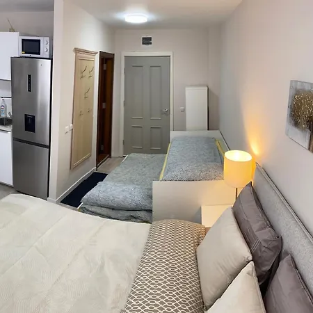 4, 4min Walk To Slope At Predela2 Apartament *