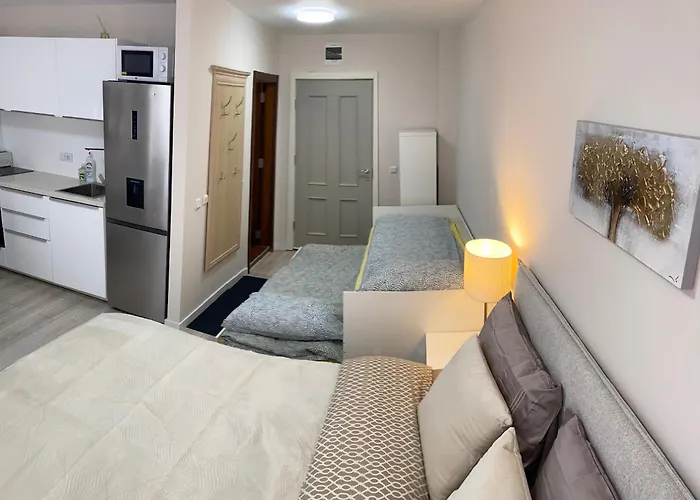 4, 4min Walk To Slope At Predela2 Apartament *